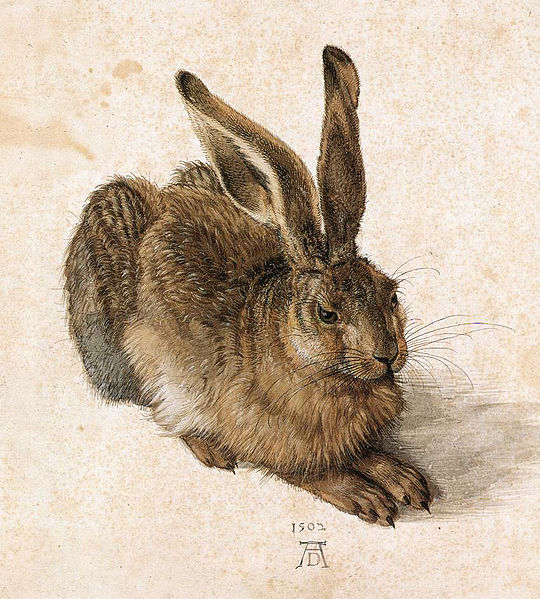 540px-Durer_Young_Hare.jpg
